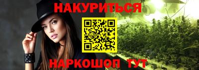 дмт Кингисепп