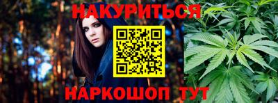 дмт Кингисепп
