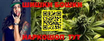 дмт Кингисепп