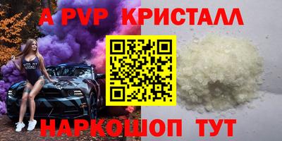 дмт Кингисепп