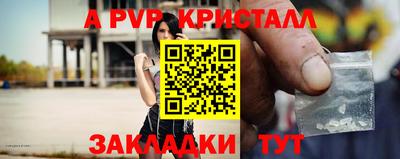 дмт Кингисепп