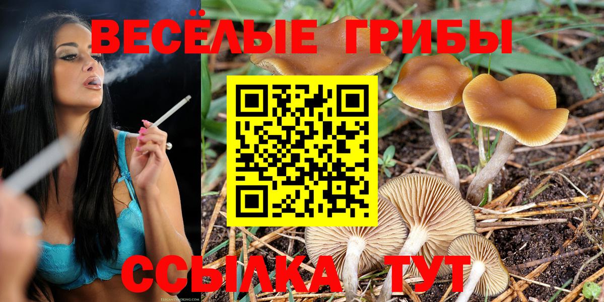 Галлюциногенные грибы Magic Shrooms  Псилоцибиновые грибы мухоморы  Феодосия  Вход с VPN 