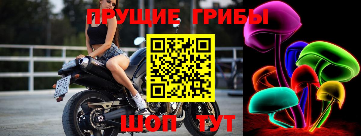 Псилоцибиновые грибы мицелий Феодосия